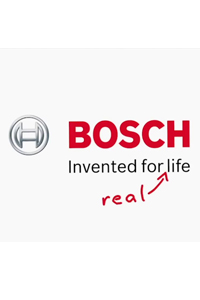 Bosch:<br>What David really saw